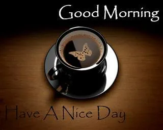 Good Morning Wishes Greeting Cards 6722