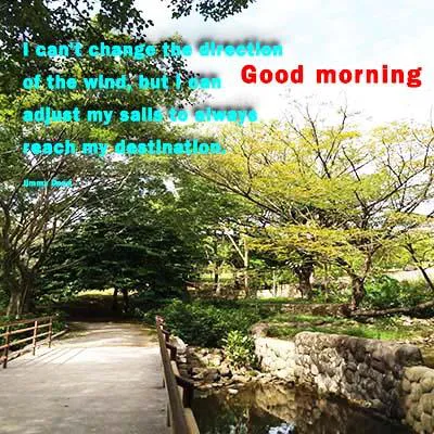Good Morning Wishes Greeting Cards 7286