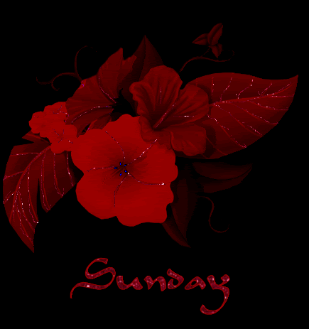 Sunday Greetings Greeting Cards 10194