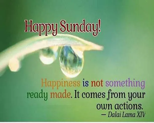 Sunday Greetings Greeting Cards 10048