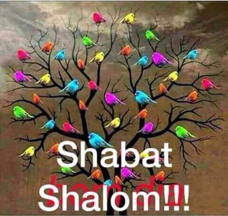 Shabbat Shalom Greeting Cards 51024