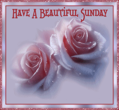 Sunday Greetings Greeting Cards 10203