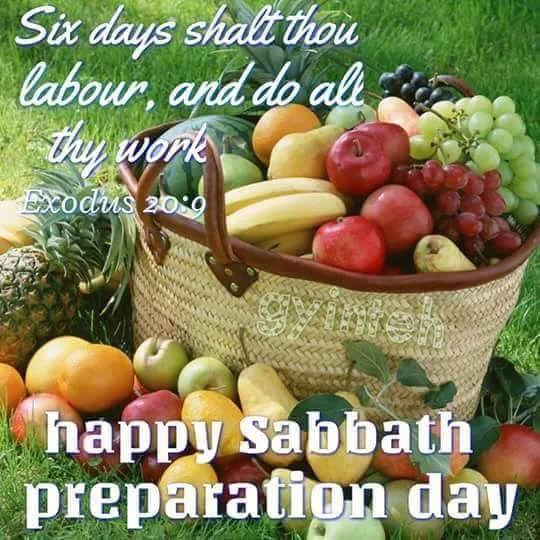 Shabbat Shalom Greeting Cards 51030