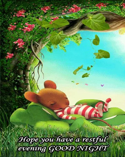 Good Night Greetings Greeting Cards 26026