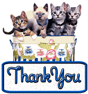 Thank You Greetings Greeting Cards 12736