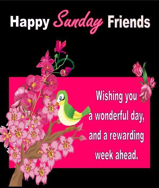 Sunday Greetings Greeting Cards 10100