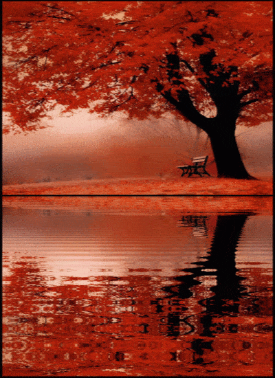 Autumnal Equinox Greeting Cards 97622