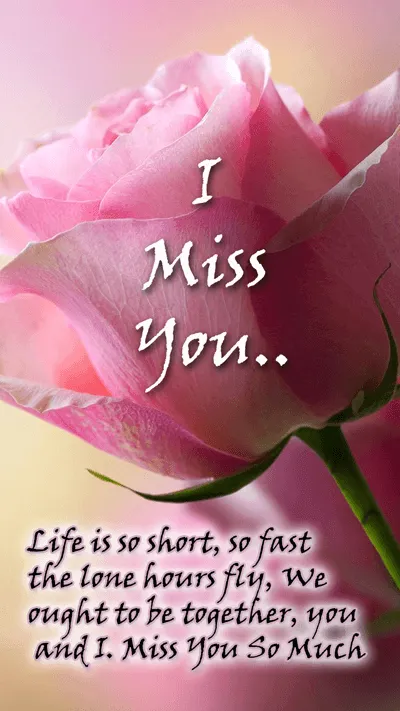 I Miss You Greetings Greeting Cards 13388