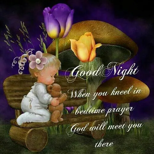 Good Night Greetings Greeting Cards 25815