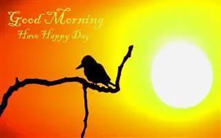 Good Morning Wishes Greeting Cards 6649