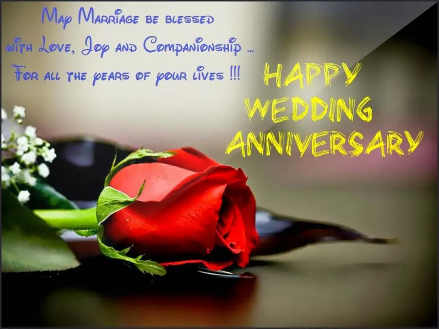 Anniversary Greetings Greeting Cards 8277