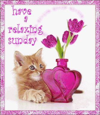 Sunday Greetings Greeting Cards 10392