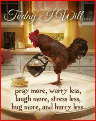 Good Morning Wishes Greeting Cards 6653