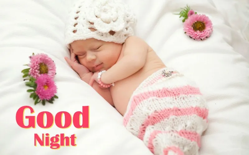 Good Night Greetings Greeting Cards 9427