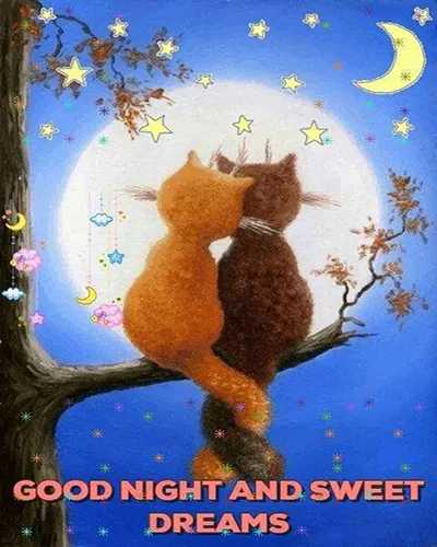 Good Night Greetings Greeting Cards 26004