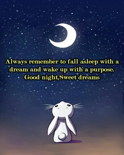 Good Night Greetings Greeting Cards 25963