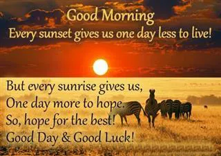 Good Morning Wishes Greeting Cards 6657