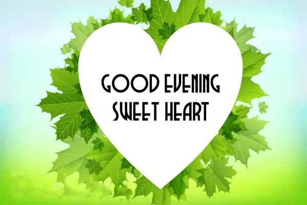 Good Evening Greetings Greeting Cards 9015