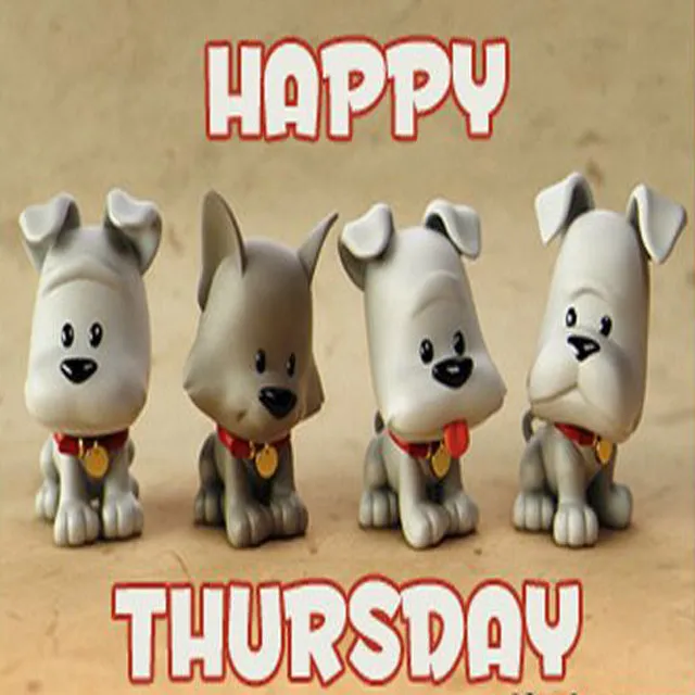Everyday Greetings Greeting Cards 14540