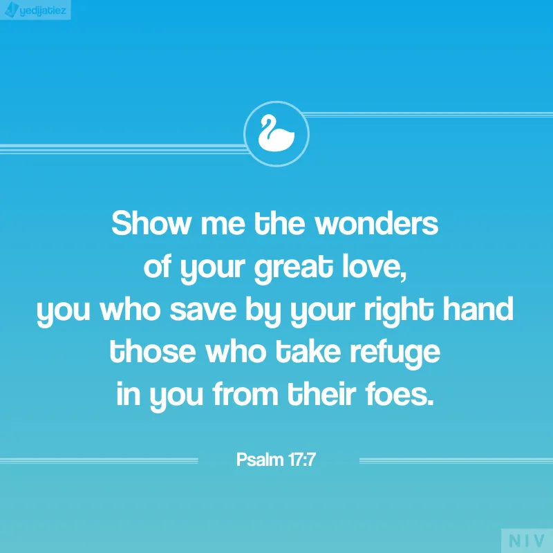 Bible Verses Greetings Greeting Cards 22553
