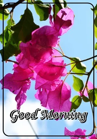 Saturday Greetings Greeting Cards 15316