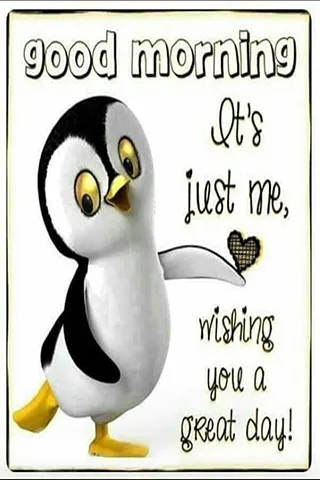 Good Morning Wishes Greeting Cards 25572