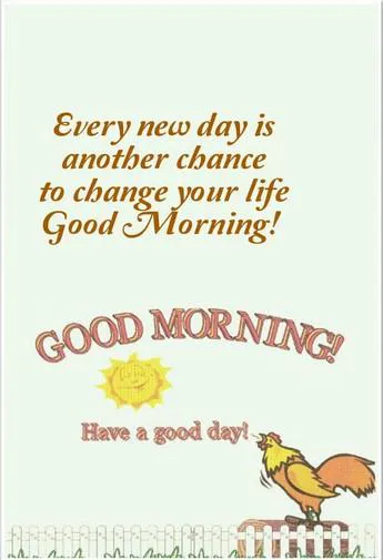 Good Morning Wishes Greeting Cards 7311