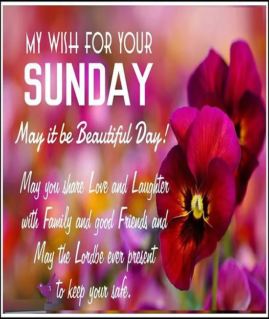 Sunday Greetings Greeting Cards 10128
