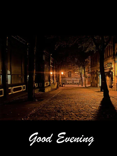 Good Evening Greetings Greeting Cards 8809
