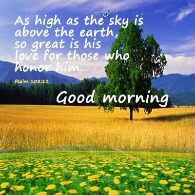 Good Morning Wishes Greeting Cards 7314