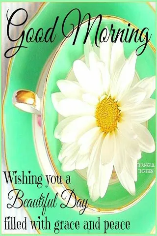 Good Morning Wishes Greeting Cards 25575