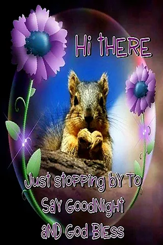 Good Night Greetings Greeting Cards 25904