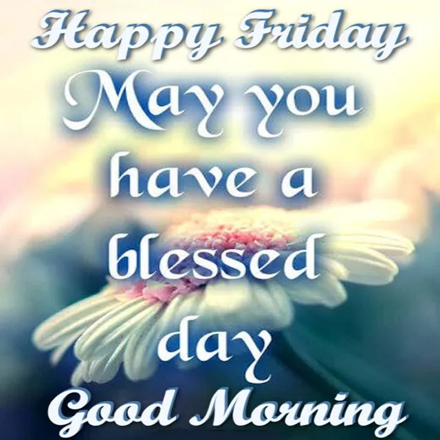 Everyday Greetings Greeting Cards 14665