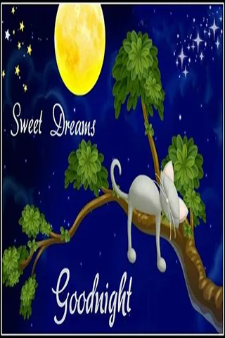 Good Night Greetings Greeting Cards 25900