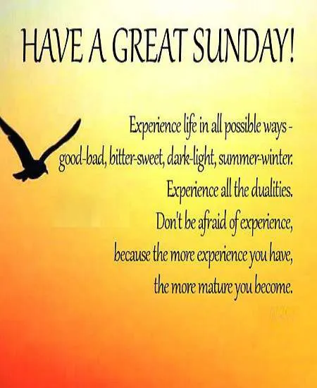 Sunday Greetings Greeting Cards 10101