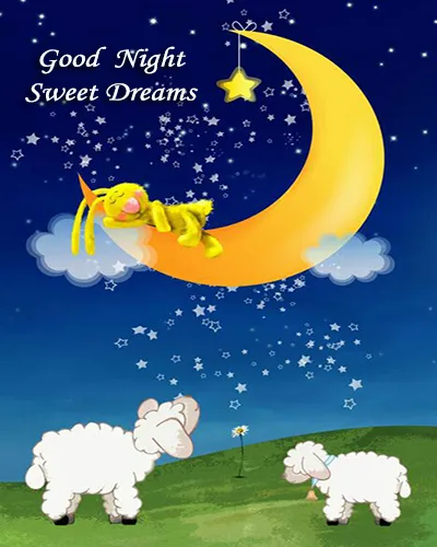Good Night Greetings Greeting Cards 25968