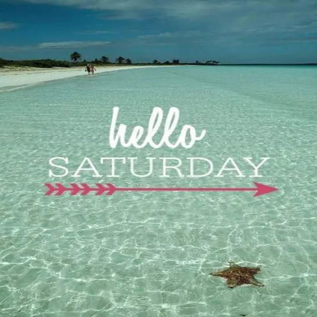 Saturday Greetings Greeting Cards 15249