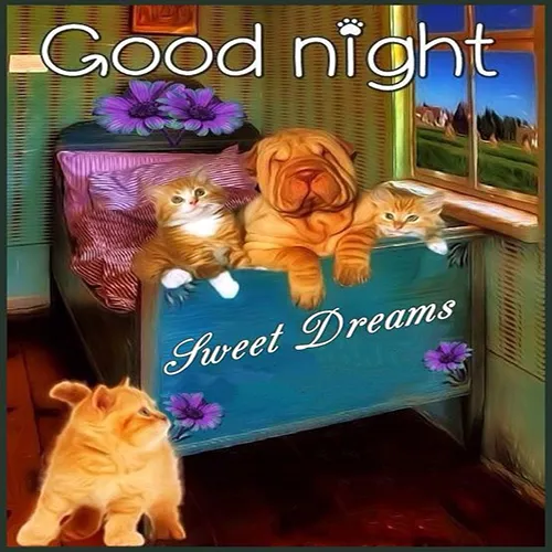 Good Night Greetings Greeting Cards 25831