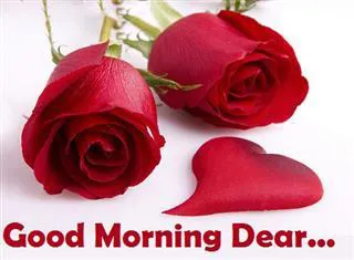 Good Morning Wishes Greeting Cards 6763