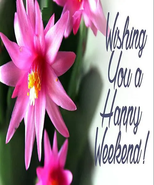 Sunday Greetings Greeting Cards 10126