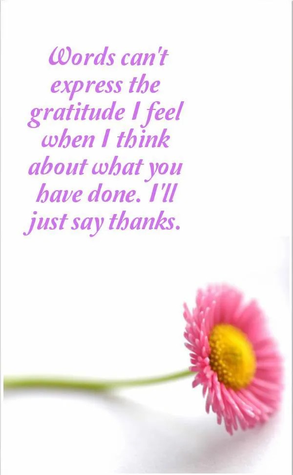 I Miss You Greetings Greeting Cards 13590