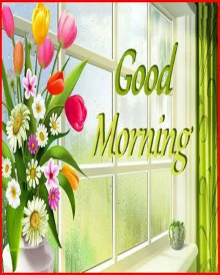 Good Morning Wishes Greeting Cards 6709