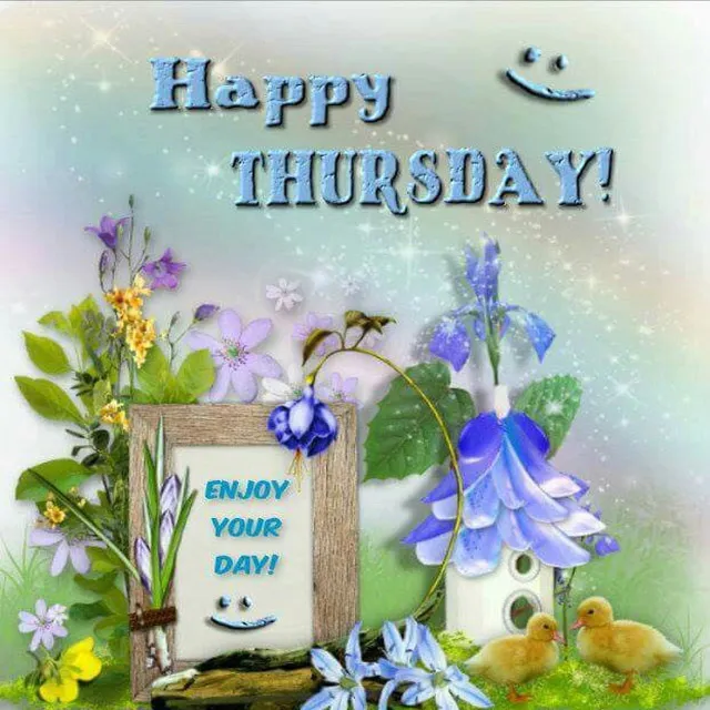 Everyday Greetings Greeting Cards 14563