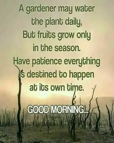 Good Morning Wishes Greeting Cards 25677