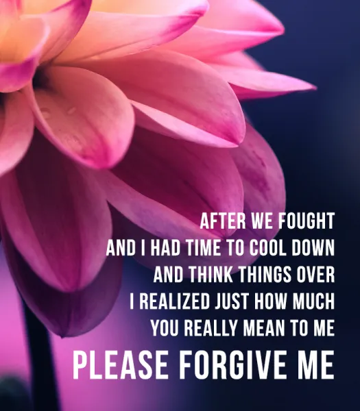 I Am Sorry Greetings Greeting Cards 52079