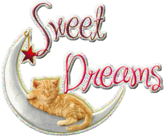Good Night Greetings Greeting Cards 9239