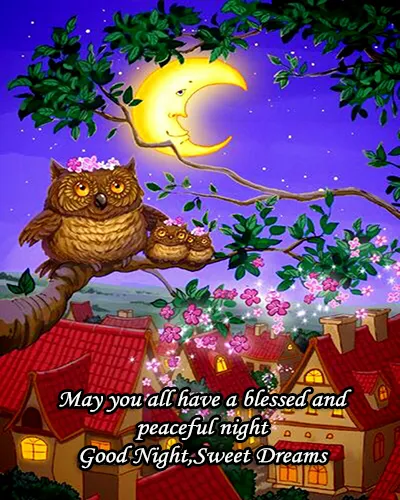 Good Night Greetings Greeting Cards 26030