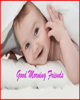Good Morning Wishes Greeting Cards 6754