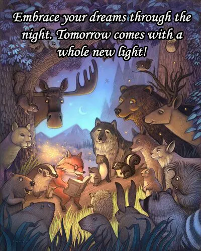 Good Night Greetings Greeting Cards 26032