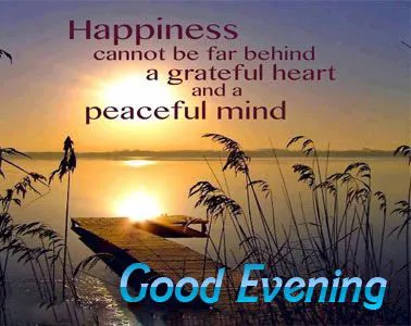 Good Evening Greetings Greeting Cards 9019